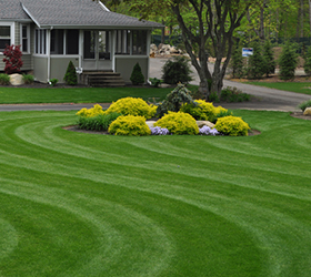 landmarc landscaping in Norton, MA owner, Marcus Dennett